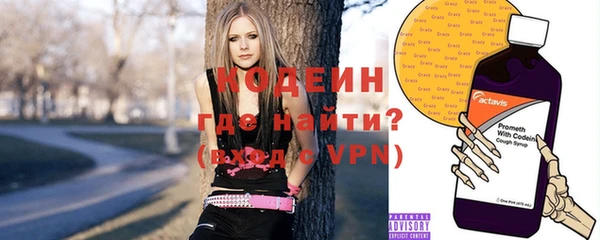 сатива Балахна