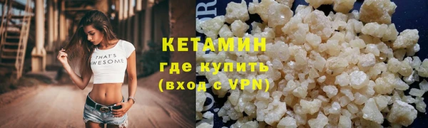 сатива Балахна
