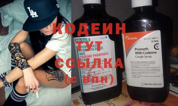 сатива Балахна