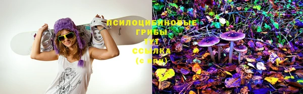 дурь Баксан