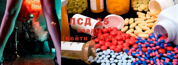 сатива Балахна